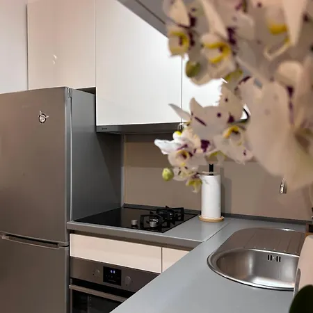 Zen Apartment *